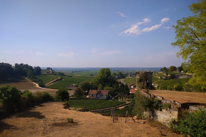 Private Tour in Saint-Emilion, Medieval Village and Wine Tasting