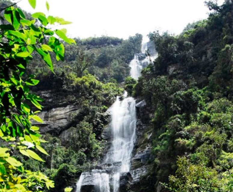 Private Tour La Chorrera to the Highest Waterfall Colombia