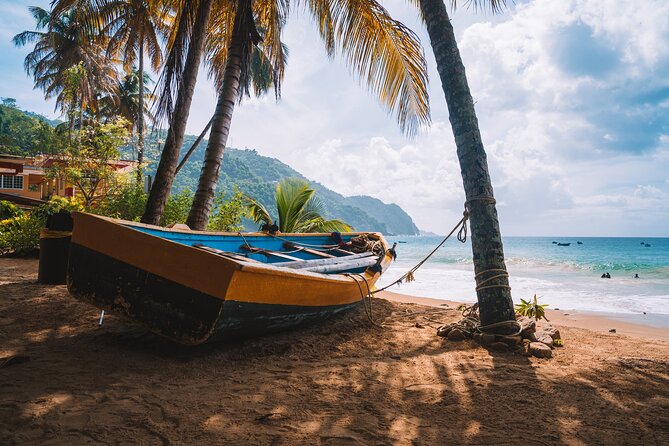 Private Tour Maracas Beach From Port of Spain - Tour Overview