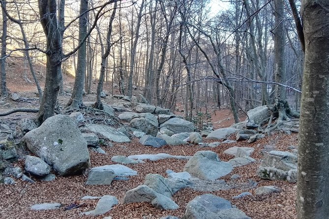 Private Tour Montseny Hiking From Barcelona - Inclusions