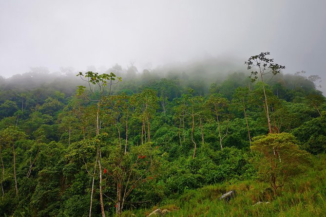 Private Tour - Natural Bird Reserve - Proaves (Hiking/Trekking) - Tour Overview