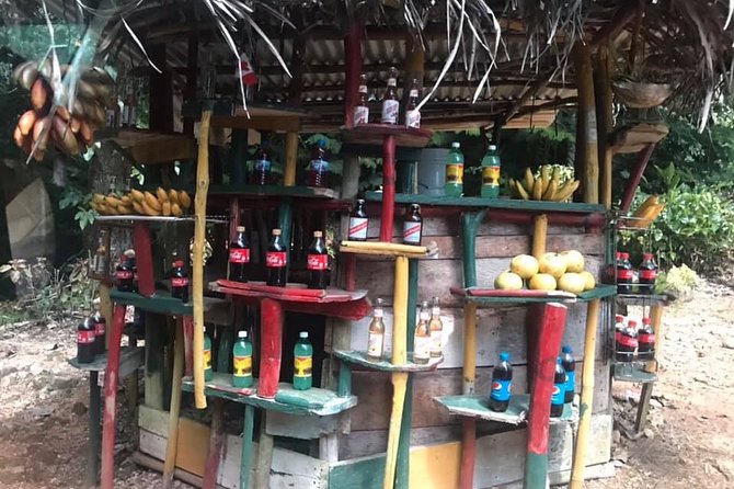 Private Tour of Bob Marley House From Ocho Rios