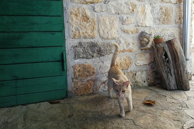 Private Tour of Brač Island With Olive Oil Tasting - Tour Overview and Details