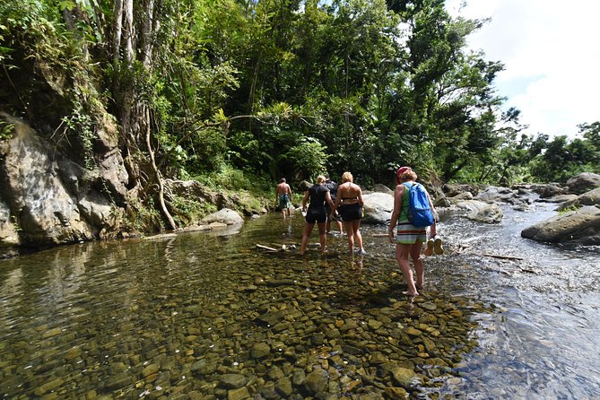 Private Tour of El Yunque Rainforest From San Juan