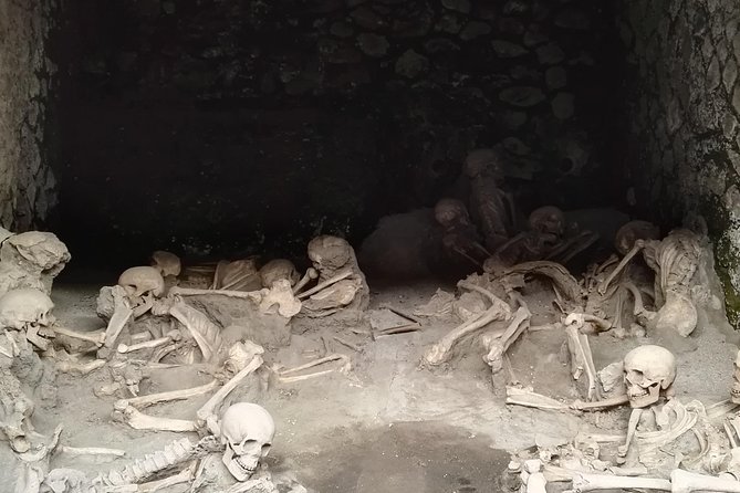 Private Tour Of Herculaneum & Mount Vesuvius