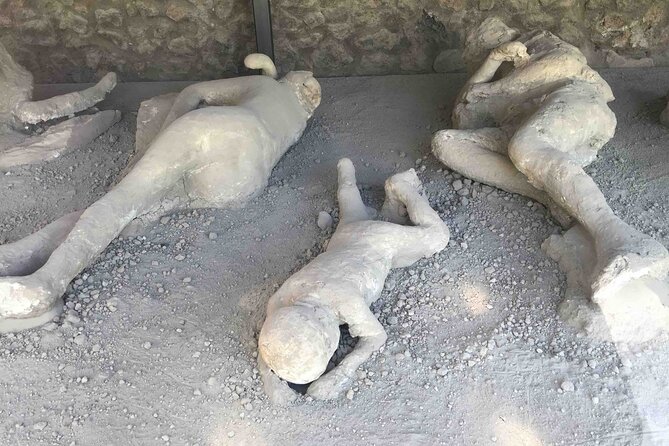 Private Tour of Pompeii Half Day With Mercedes Sedan and Guide