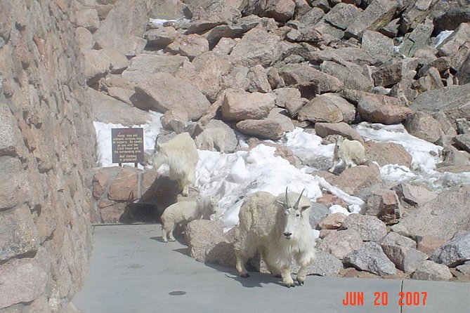Private Tour of Red Rocks, Echo Lake, Mount Evans and Idaho Springs.