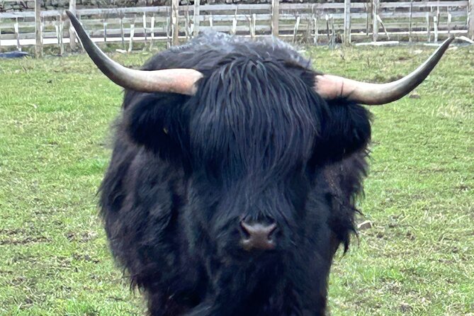Private Tour of the Highlands, Glencoe and Castles From Stirling - Exploring the Highlands
