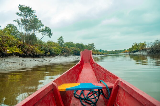 Private Tour of the Howling Monkey in Cerro Blanco Guayaquil