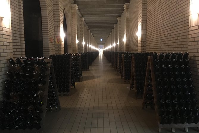 Private Tour of the Largest Wineries in Bento Gonçalves RS