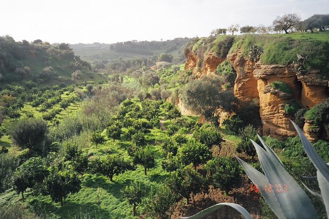Private Tour of the Valley of the Temples & Kolymbethra in Sicily
