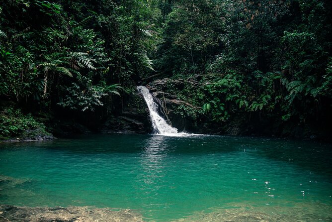 Private Tour Rio Seco Waterfall From Port of Spain - Discovering the Rio Seco Waterfall