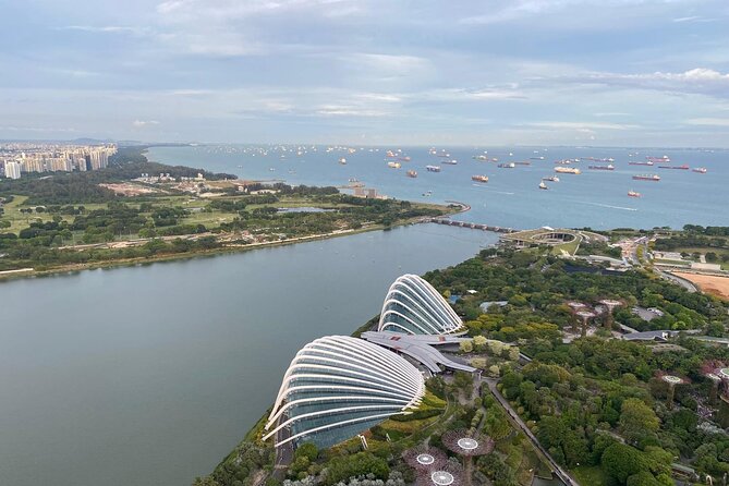 Private Tour Singapore Nighttime Sightseeing + River Cruise(Max6) - Tour Overview and Details