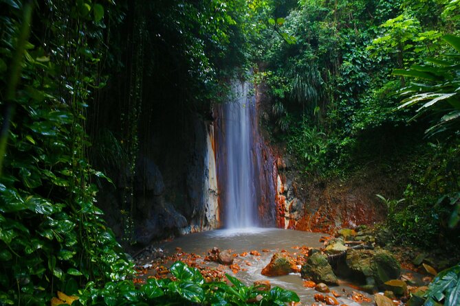 Private Tour St. Lucia Botanical Gardens and Waterfall