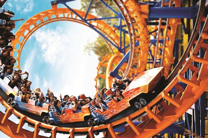Private Tour to Beto Carrero World With Floripa Nativa Turismo
