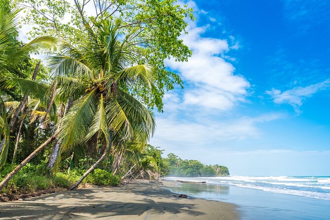 Private Tour to Black Sand Beach in The Southeast of Puerto Rico