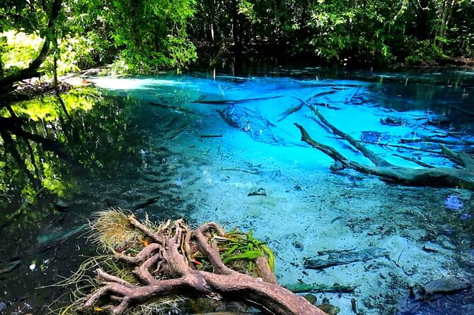 Private Tour To Emerald Pool Hot Springs and Tiger Cave Temple - Tour Overview and Features