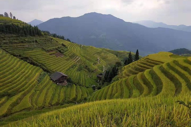 Private Tour to Longsheng Terrace&Long Hair Village From Guilin - Tour Overview
