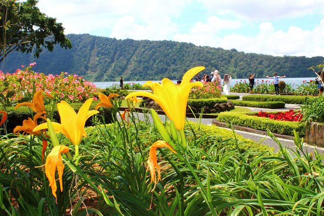 Private Tour to Northern Bali Highland
