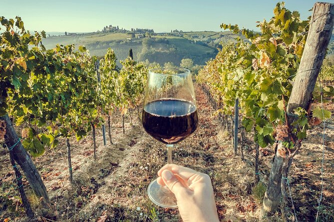Private Tour to Ravello & Winery With Local Food & Wine Tasting - Inclusions