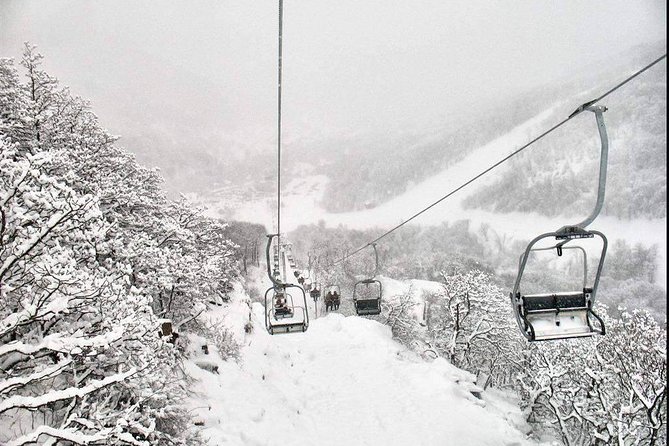 Private Tour to Tsakhkadzor and Sevan Full of Nature and Activities