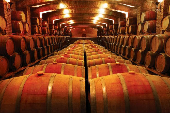 Private Tour: Undurraga Vineyard Experience With Premium Wine Tasting - Overview of Undurraga Vineyard