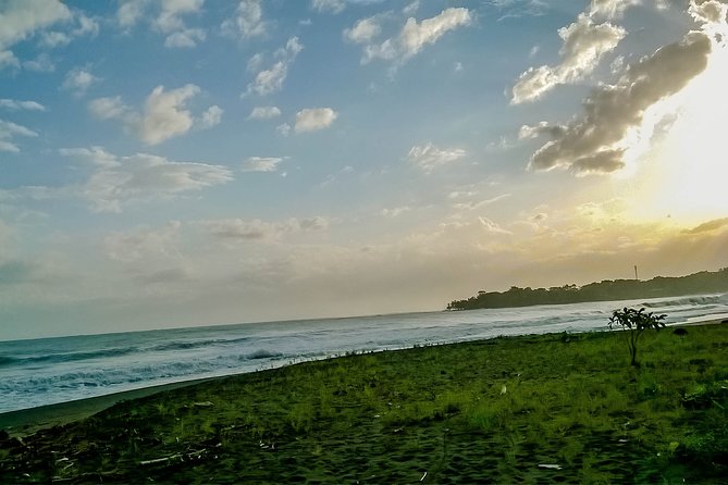 Private Transfer From San Jose to Puerto Viejo, Limon
