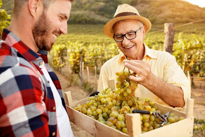 8 Best Private Car With Driver Services In Napa and Sonoma