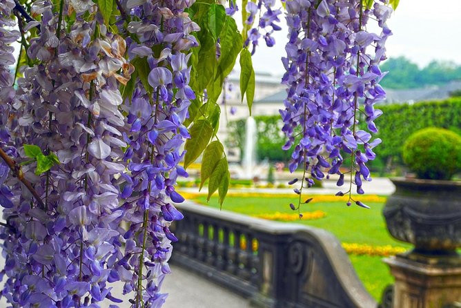 Private Transfer From Vienna to Salzburg With 3h Sightseeing Stop in Hallstatt - Transfer Overview