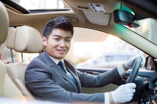 Private Transfer From Wusongkou Cruiseport to Disneyland and Back