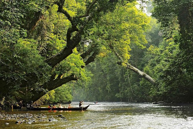 Private Transfer: Kuala Lumpur to Taman Negara National Park (Kuala Tahan Jetty)
