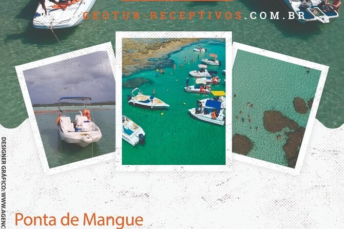 Private Transfer Maragogi to Recife From 01 to 06 Pax by Geo Tur Receptives