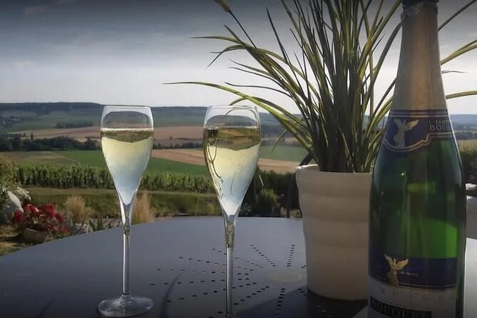 Private Transfer: Reims / Champagne to Paris Airport CDG by Van - Service Overview
