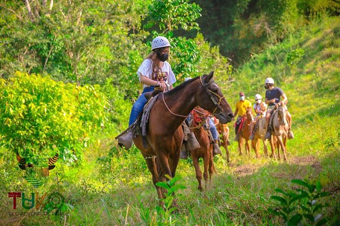 Private Transfers From Punta Cana Airport to Punta Cana Hotels - Pickup and Drop-off Information
