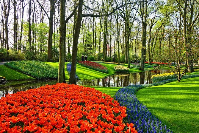 Private Tulip Fields, Windmills and Cheese Tour From Amsterdam