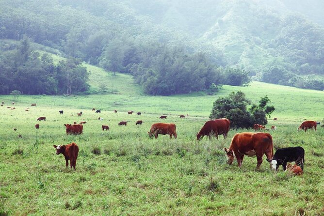 Private Upcountry Maui Tour