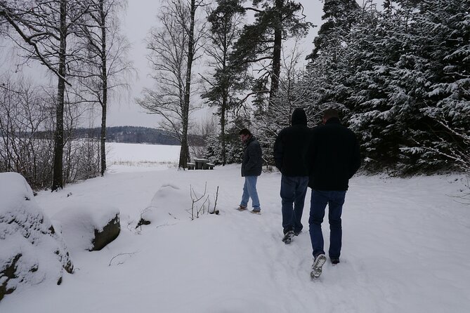 Private Viking Tour by a Lake + Swedish Nature Forest Walk, 90MIN