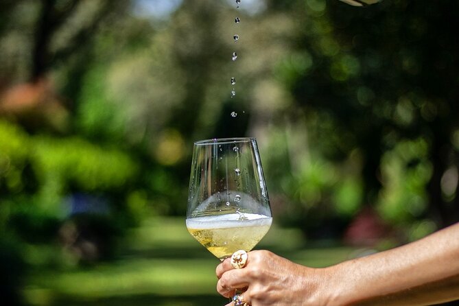 Private Wine Experience in Rota Do Vinho Verde With Lunch - Overview of the Tour