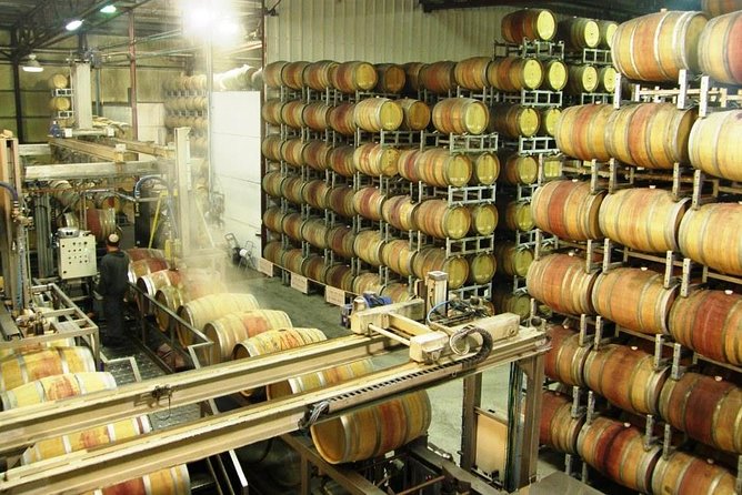 Private Wine Tour of Northern Israel