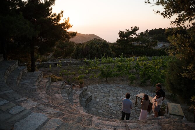 Professional Tour With Winemaker in Ikaria - Experience Details