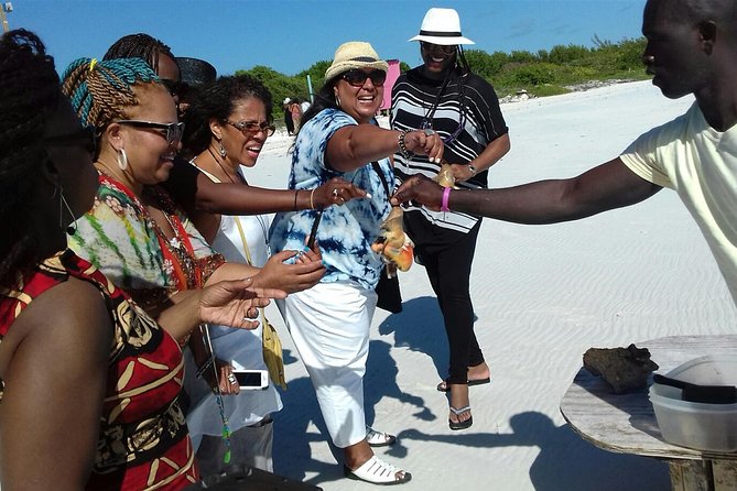 Providenciales Group Island Tour