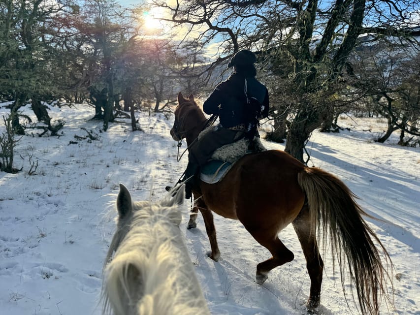 Puerto Natales: Full Day Horse Riding to the Mountains