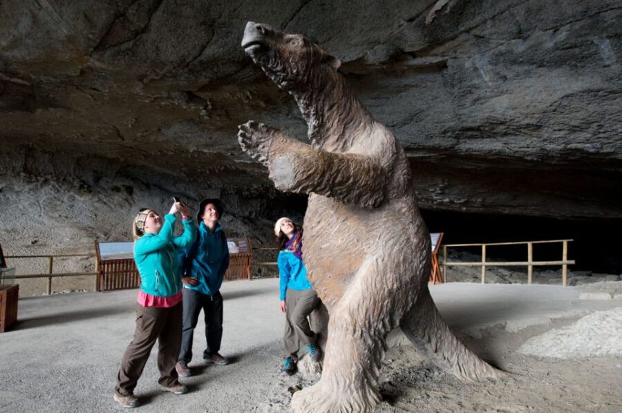 Puerto Natales: Full-Day Torres Del Paine Tour