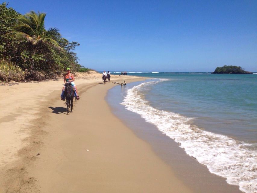 2 Best 2 Hour Tours and Experiences in Puerto Plata