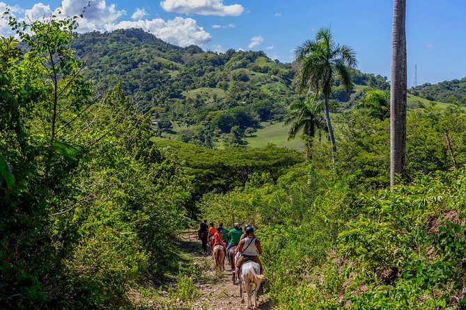 Puerto Plata: Damajagua Waterfalls + Safari Buggy + Horseback Riding (Top3in1) - Participant Information