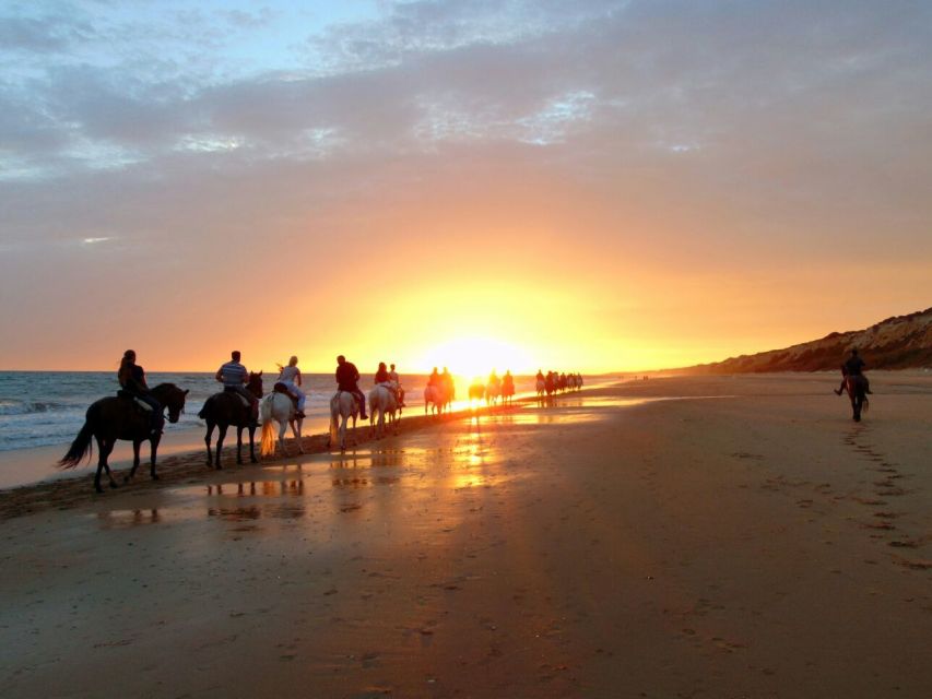 Puerto Plata: Sunset Beach Horseback Riding Tour