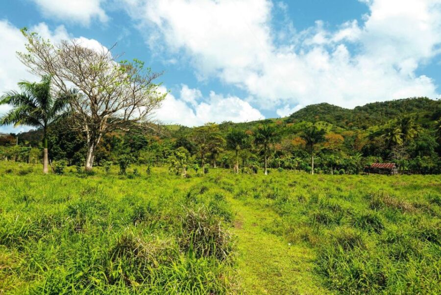 Punta Cana: Anamaya Mountains Walking Tour With Tasting - Tour Overview and Pricing