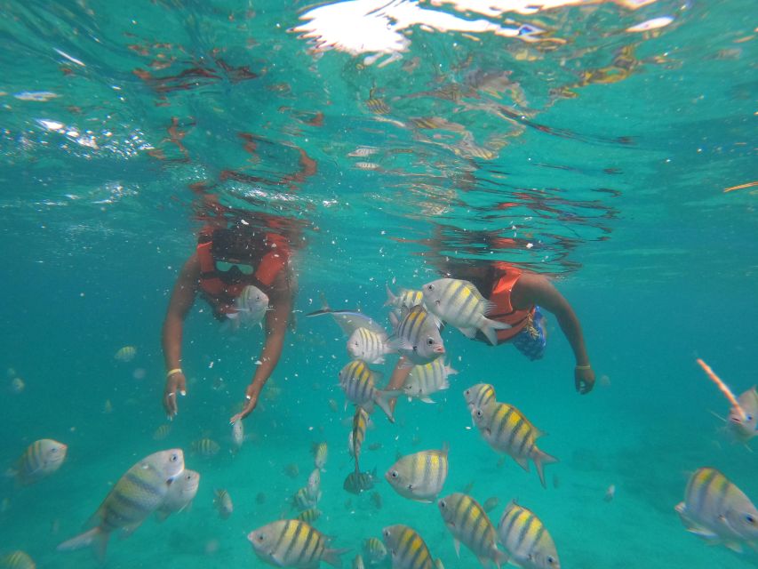 Punta Cana High Performance Speed Boat Adventure and Snorkel - Activity Overview