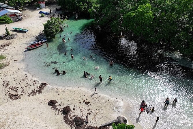 Punta Cana :Safari Samana Panoramic City Tour+Rincon W/Transport - Itinerary Overview