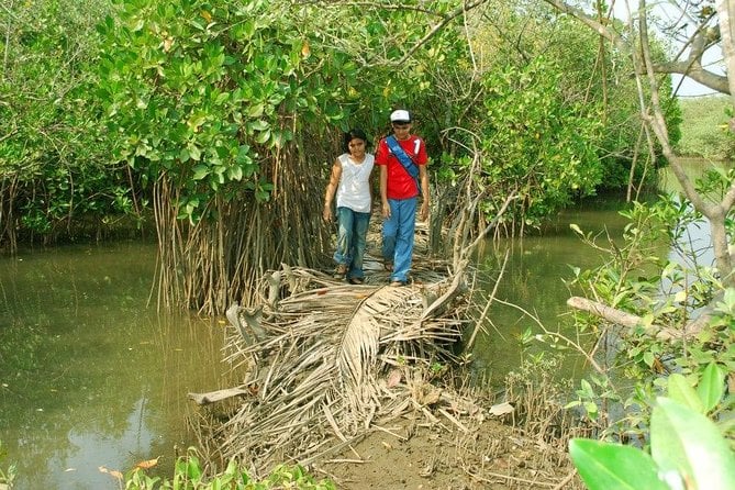 Pursuit of Payyanur by Tyndis - Payyanur Experience Tour - Inclusions and Pricing